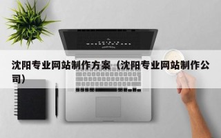 嘉兴沈阳专业网站制作方案（沈阳专业网站制作公司）